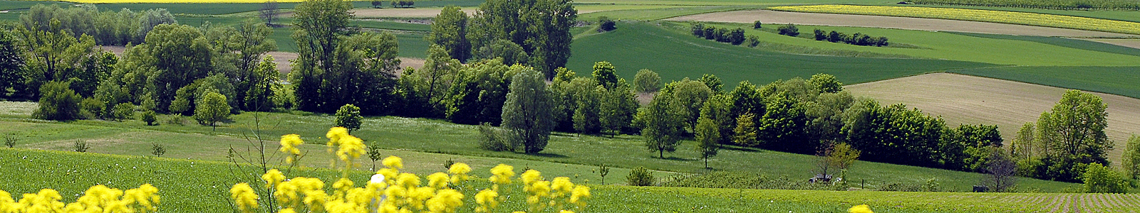 Landschaft mit Bäumen, Feldern und Wiesen ©DLR